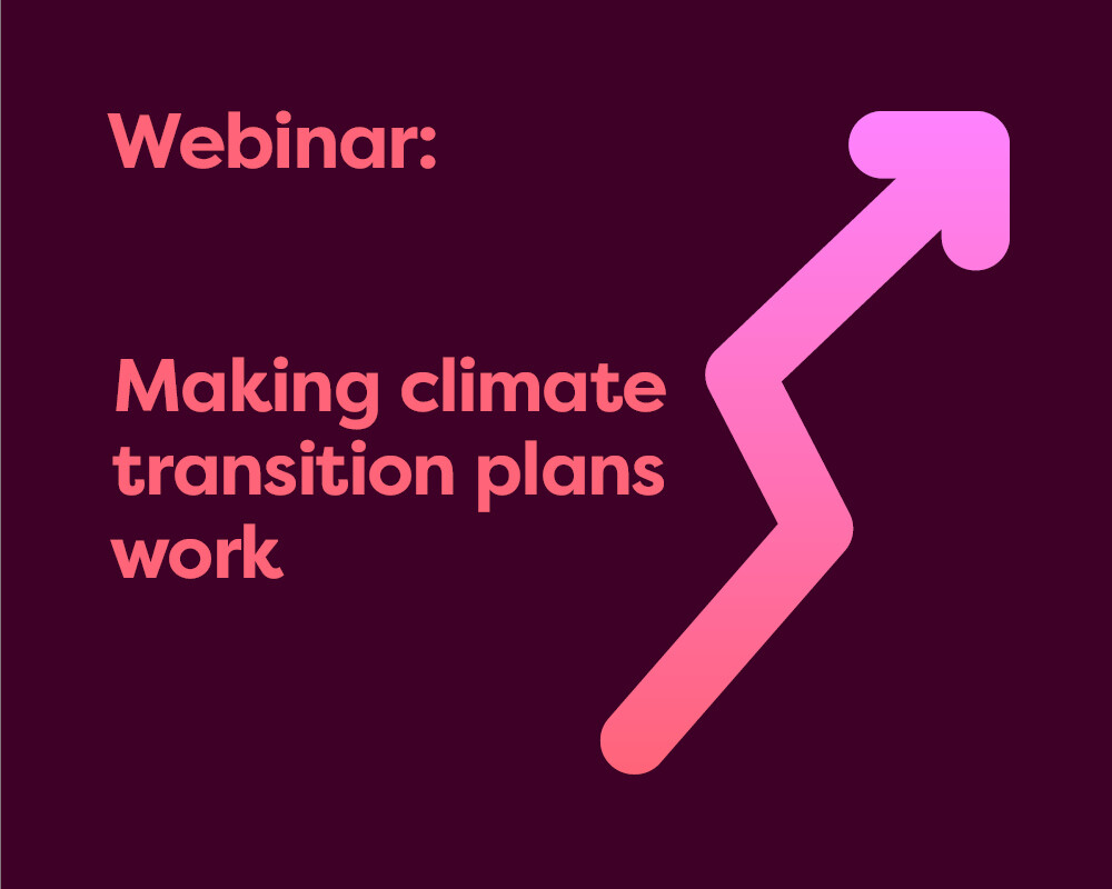 Webinar: Making climate transition plans work