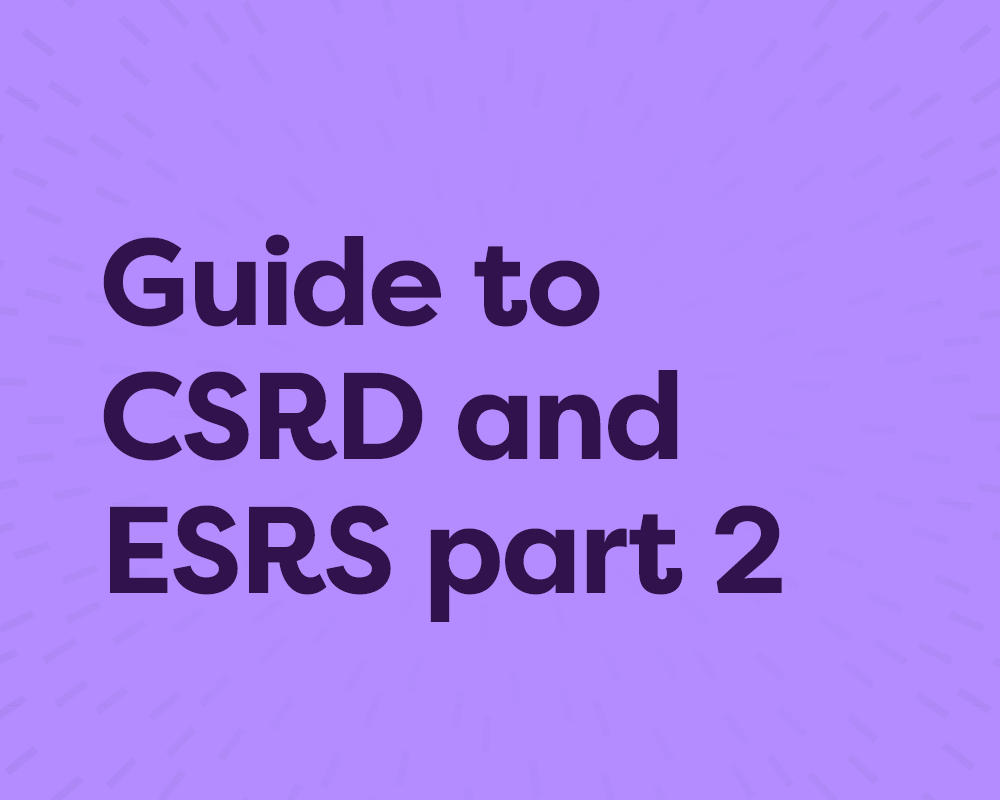 The complete guide CSRD and ESRS, article 2 of 2: Reporting CSRD and ESRS: when, what, and how