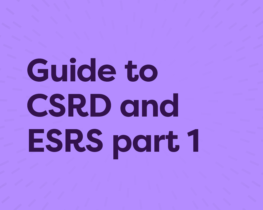 The complete guide to CSRD and ESRS: Article 1 of 2: CSRD and ESRS overview.