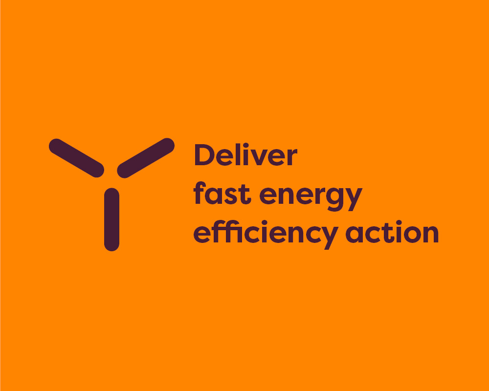 Deliver fast energy efficiency action