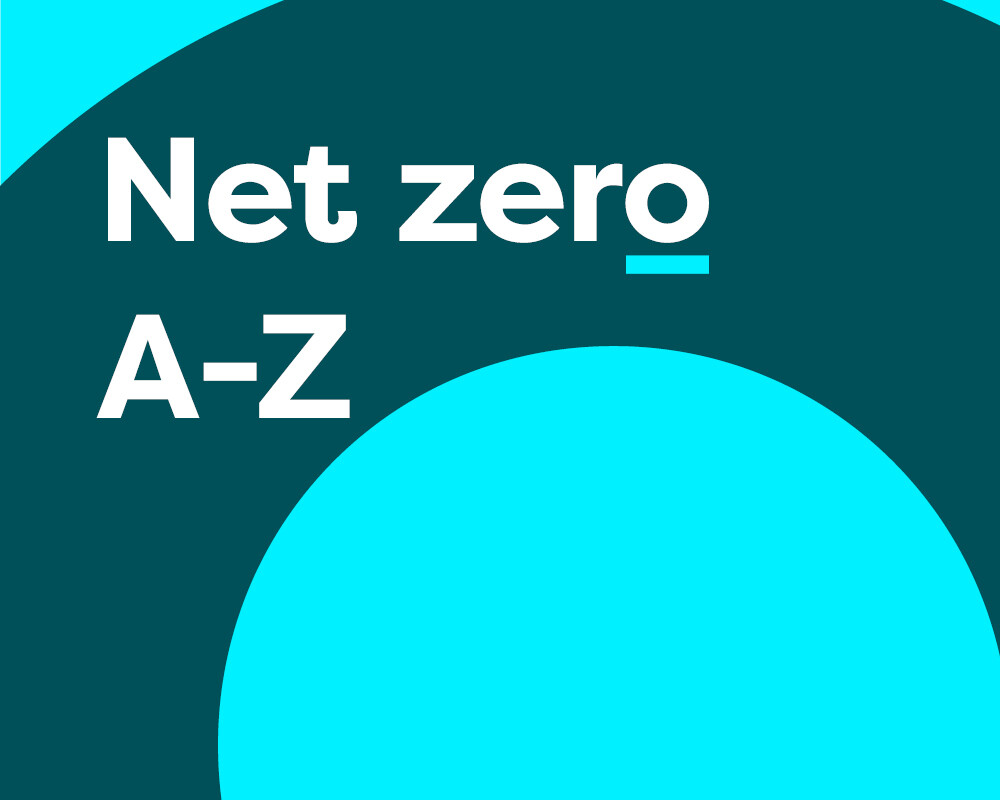 Glossary of net zero terms